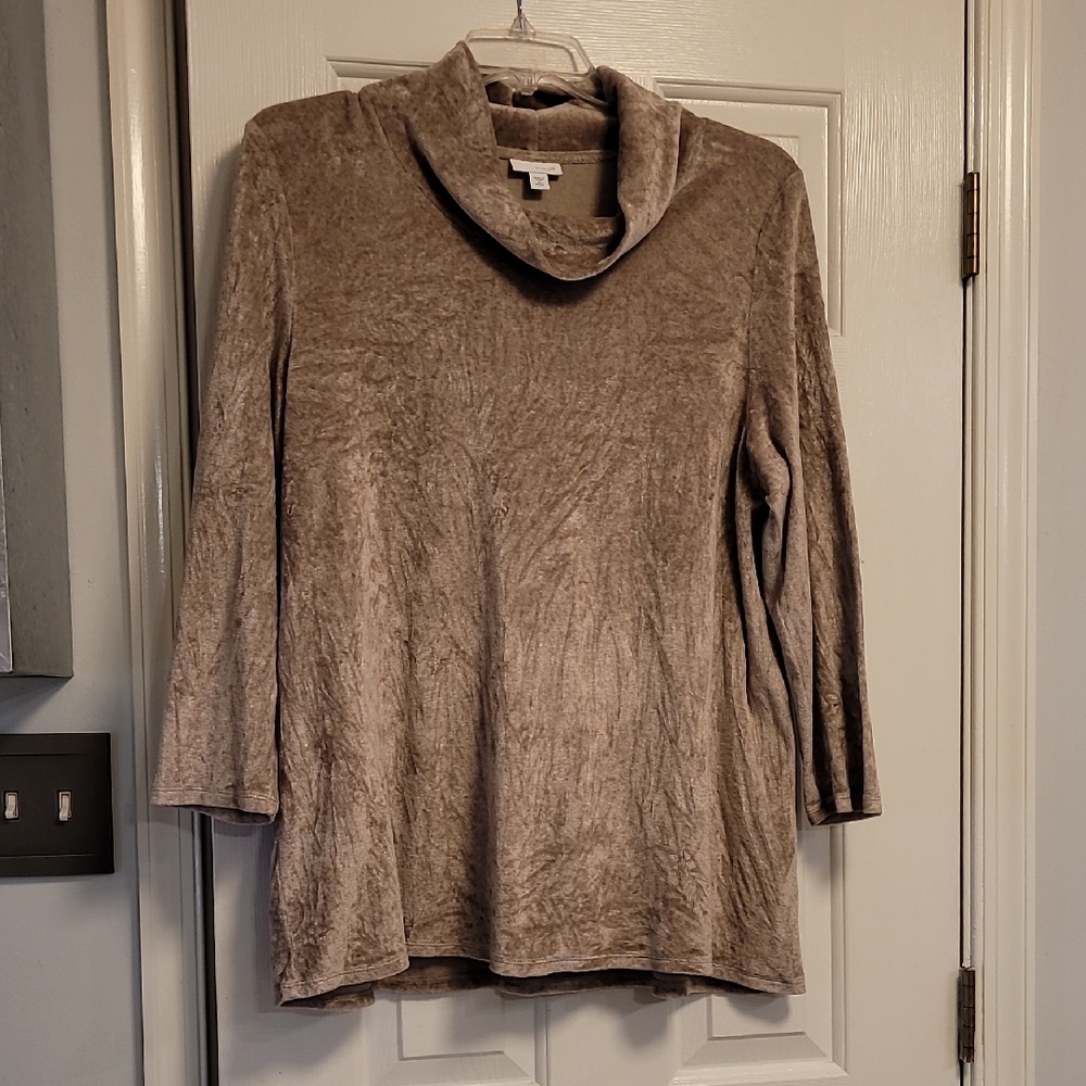 Fall Ready J. Jill Pure Jill Velour Tan Tunic.